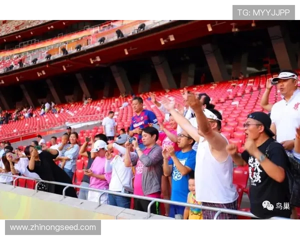 球迷狂欢节激情绽放城市之夜共赴荣耀梦想盛宴点燃全民热血再创巅峰 - 副本 - 副本 - 副本 - 副本