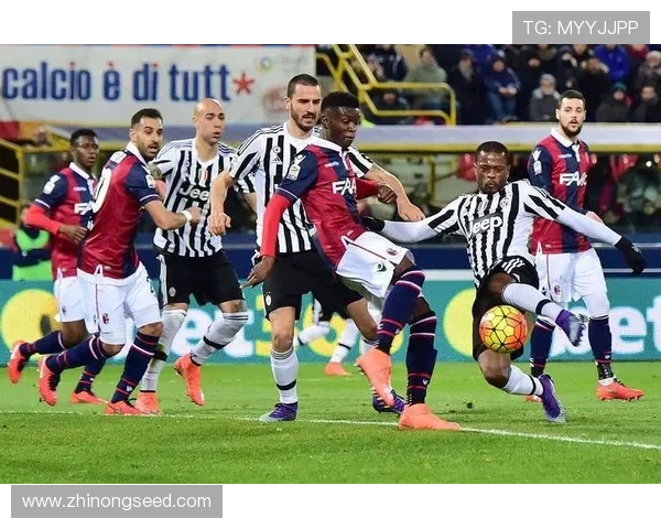 聚焦世界杯加时赛赛制演变与胜负悬念解析对球队战术与心理博弈影响 - 副本 (6) - 副本