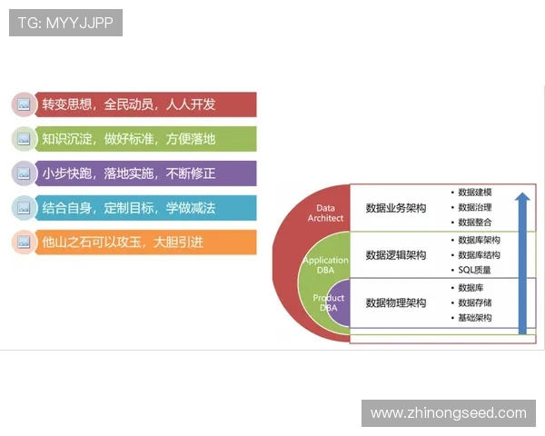 聚焦世界杯用户评论审核机制优化与风险防控策略研究升级路径探讨 - 副本 - 副本 - 副本 - 副本 (2)