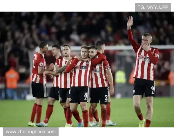 聚焦全球体育最新动态与赛场风云变幻趋势解析冠军之路与焦点赛事前瞻 - 副本 - 副本 (2)