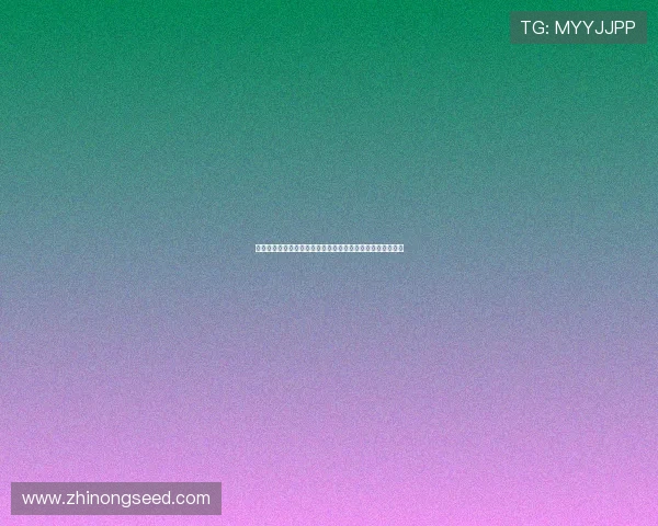 篮球比分实时查询平台带你掌握全球赛事动态和精彩比分更新