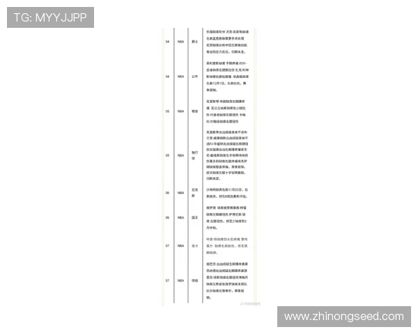 NBA最新赛季焦点战回顾:球星表现与球队排名全解析