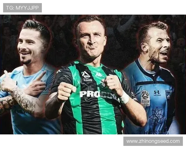 西甲赛事平台全方位解析，深度探讨赛程分析、球队动态与直播观看技巧